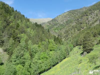 País de los Pirineos- Andorra; te deseo felices fiestas cerezos en primavera sierra ayllon parque na